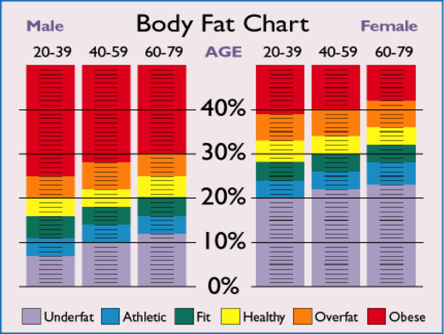 Body Fat By Age Chart